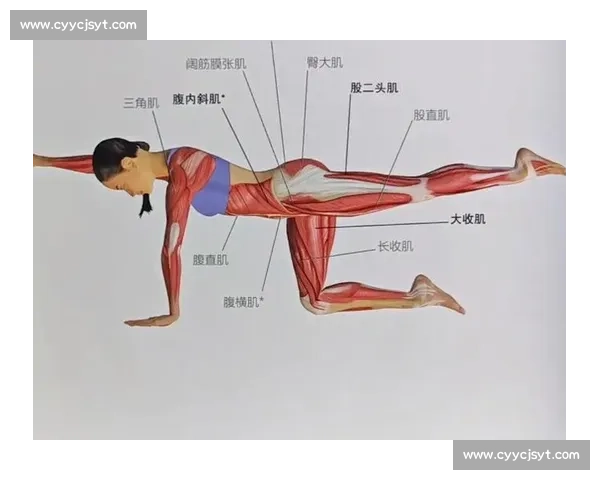 提升身体协调性与核心稳定性的平衡能力训练方案 提升身体协调性与核心稳定性的平衡能力训练方案